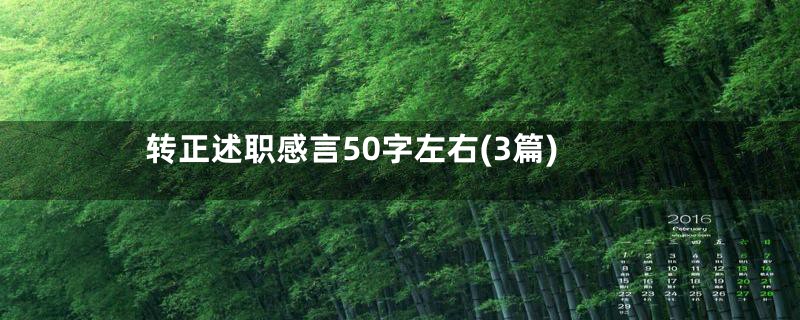 转正述职感言50字左右(3篇)