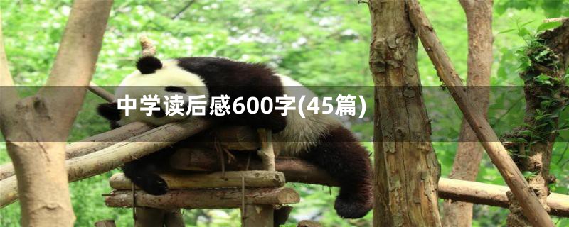 中学读后感600字(45篇)