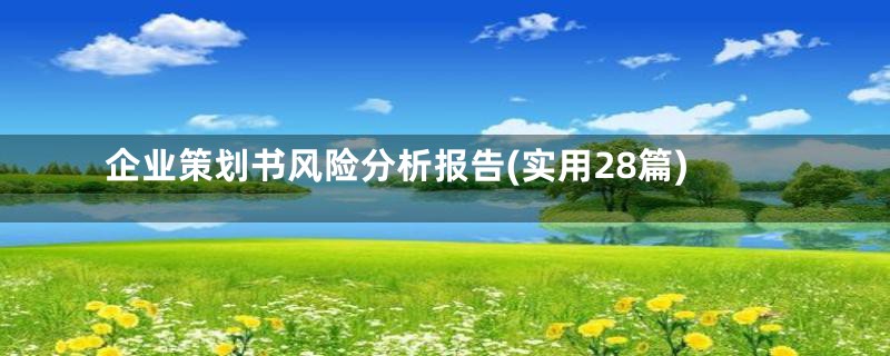 企业策划书风险分析报告(实用28篇)