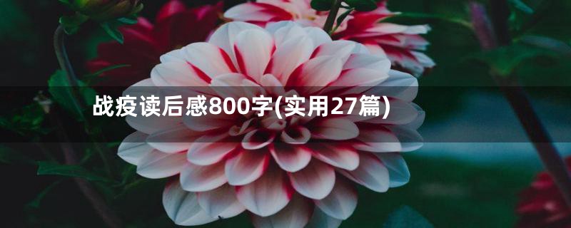 战疫读后感800字(实用27篇)