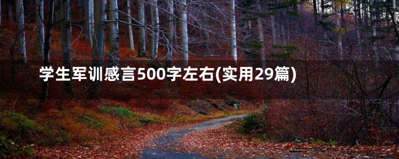 学生军训感言500字左右(实用29篇)