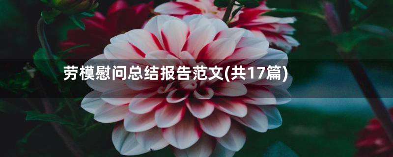 劳模慰问总结报告范文(共17篇)