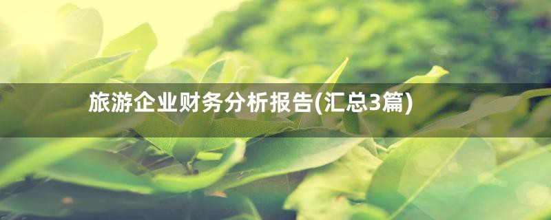 旅游企业财务分析报告(汇总3篇)