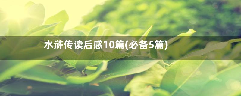 水浒传读后感10篇(必备5篇)