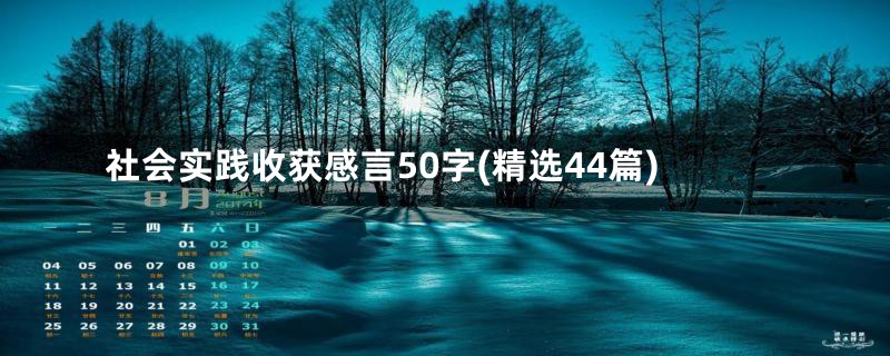 社会实践收获感言50字(精选44篇)