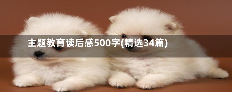 主题教育读后感500字(精选34篇)