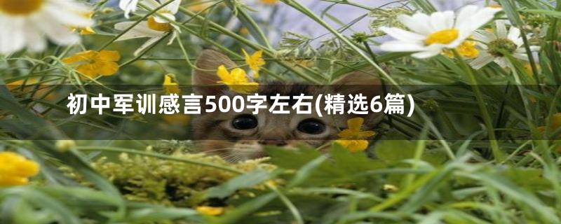 初中军训感言500字左右(精选6篇)