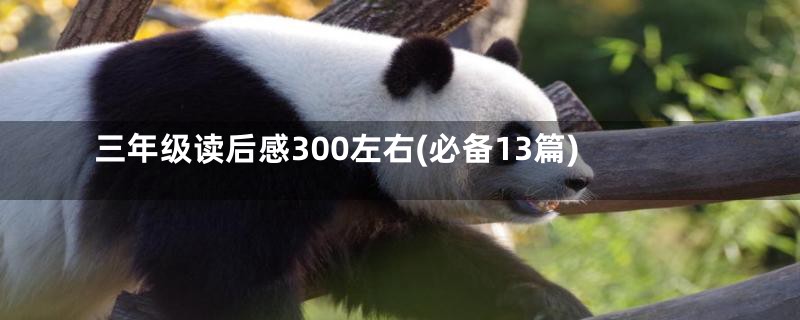 三年级读后感300左右(必备13篇)