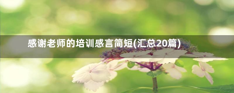 感谢老师的培训感言简短(汇总20篇)