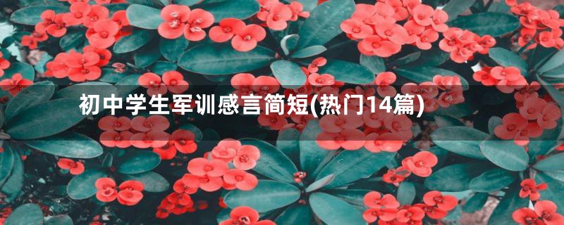 初中学生军训感言简短(热门14篇)