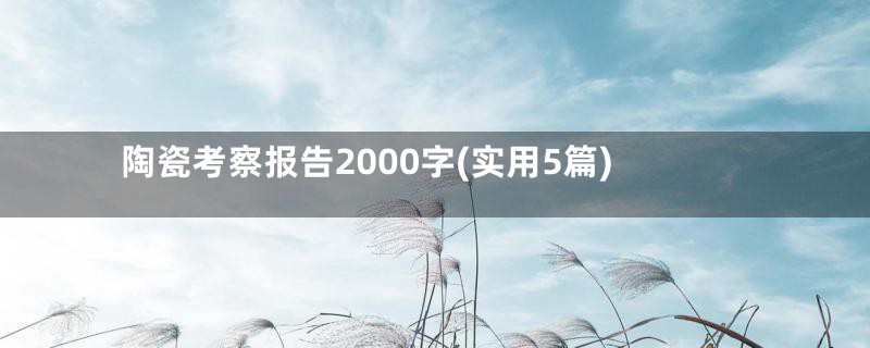 陶瓷考察报告2000字(实用5篇)