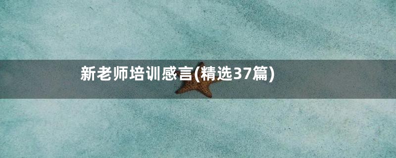 新老师培训感言(精选37篇)