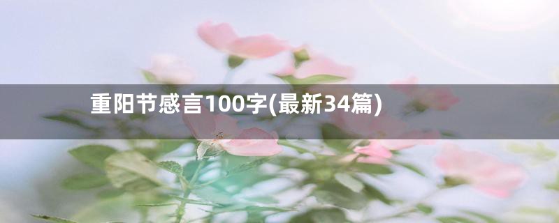 重阳节感言100字(最新34篇)