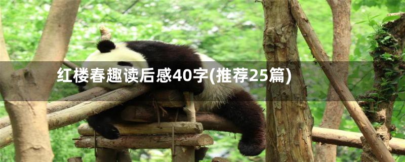 红楼春趣读后感40字(推荐25篇)