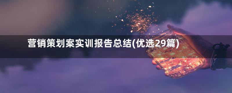 营销策划案实训报告总结(优选29篇)