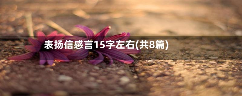 表扬信感言15字左右(共8篇)