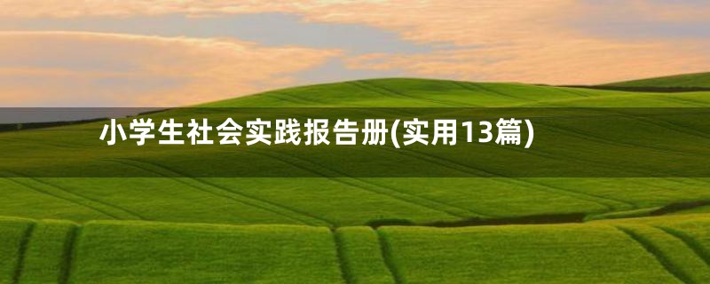 小学生社会实践报告册(实用13篇)