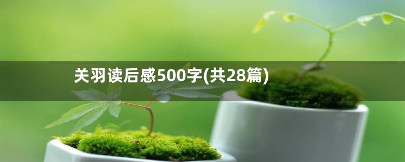 关羽读后感500字(共28篇)