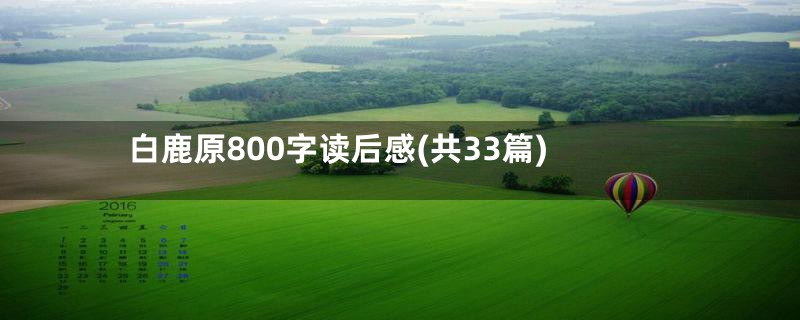 白鹿原800字读后感(共33篇)