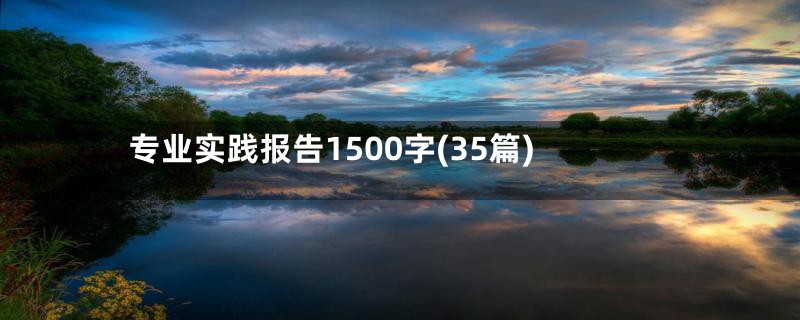 专业实践报告1500字(35篇)