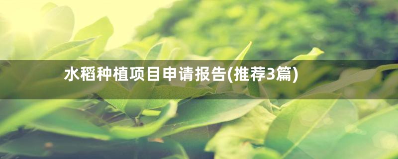 水稻种植项目申请报告(推荐3篇)