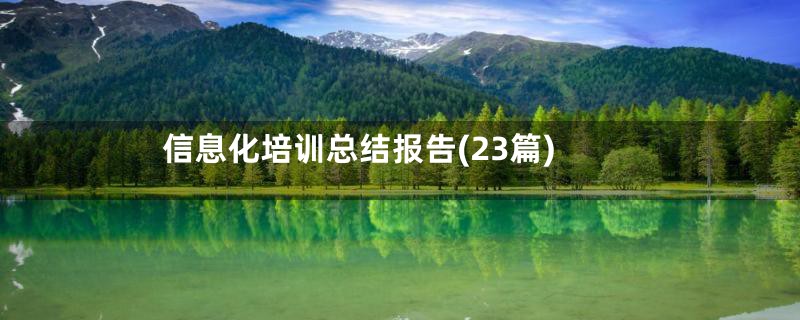 信息化培训总结报告(23篇)