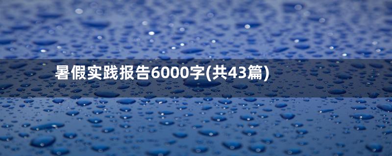 暑假实践报告6000字(共43篇)