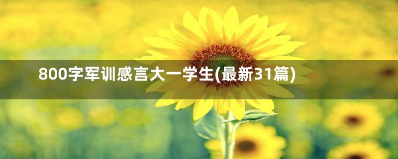 800字军训感言大一学生(最新31篇)