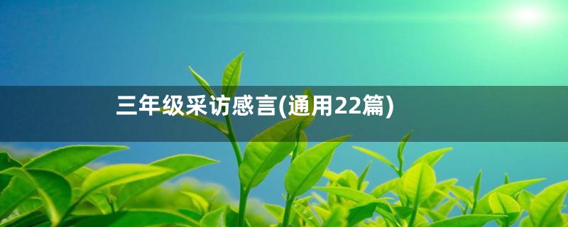 三年级采访感言(通用22篇)