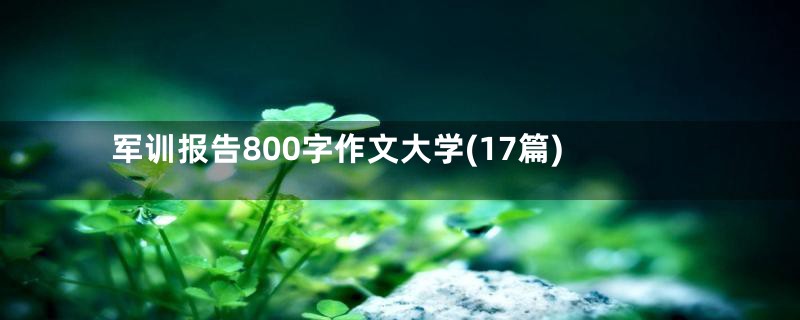 军训报告800字作文大学(17篇)