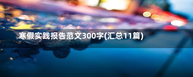 寒假实践报告范文300字(汇总11篇)