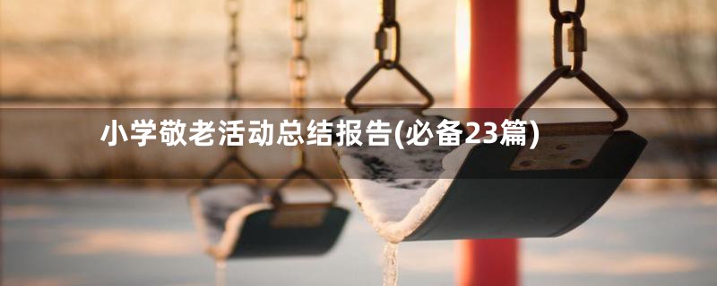 小学敬老活动总结报告(必备23篇)