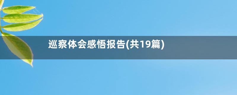 巡察体会感悟报告(共19篇)