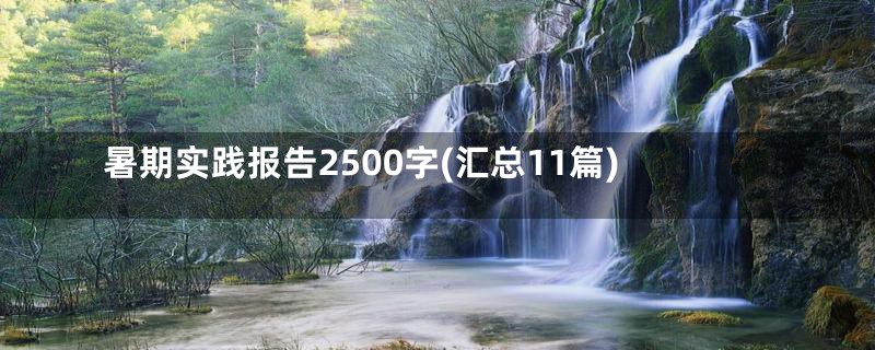 暑期实践报告2500字(汇总11篇)