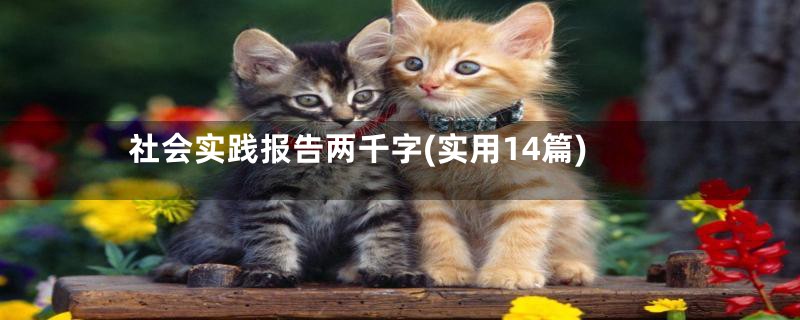 社会实践报告两千字(实用14篇)