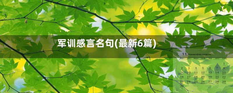 军训感言名句(最新6篇)