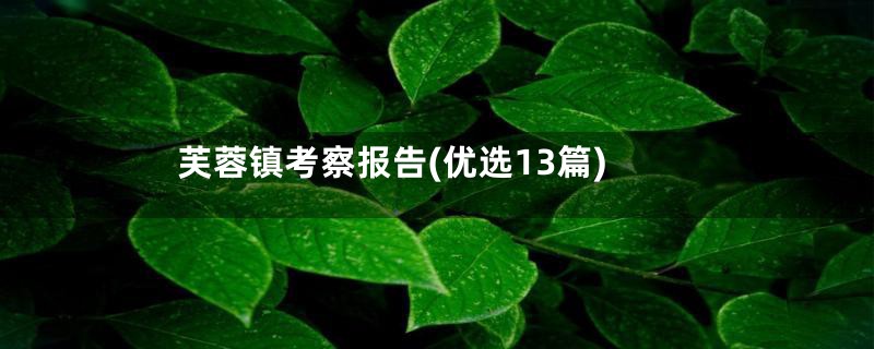 芙蓉镇考察报告(优选13篇)