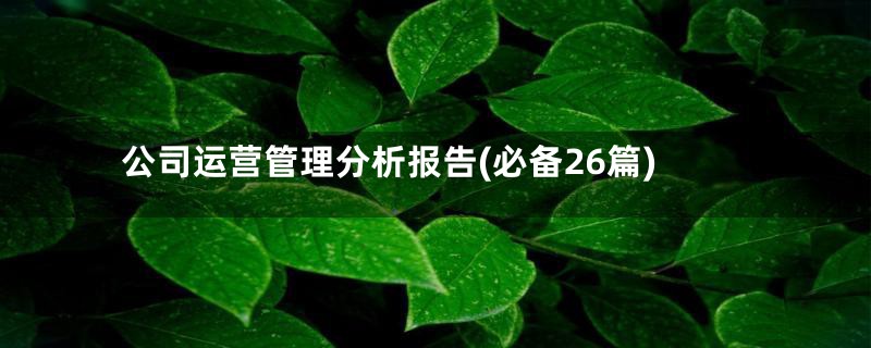 公司运营管理分析报告(必备26篇)