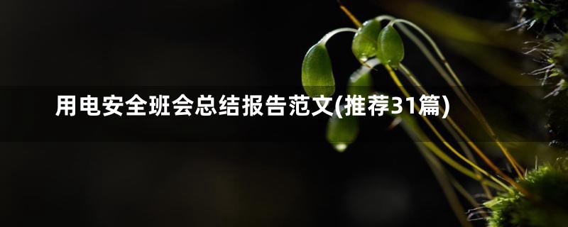 用电安全班会总结报告范文(推荐31篇)