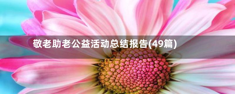 敬老助老公益活动总结报告(49篇)