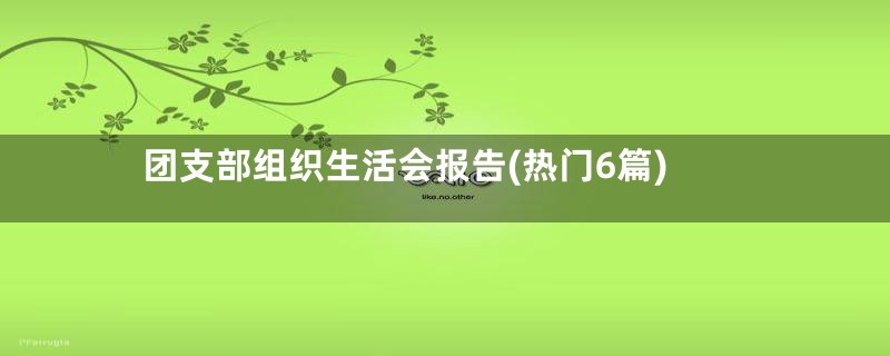 团支部组织生活会报告(热门6篇)