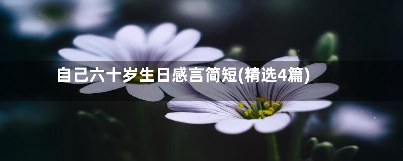 自己六十岁生日感言简短(精选4篇)