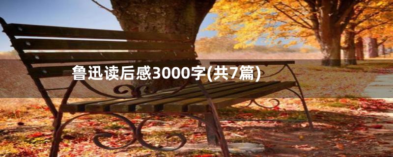 鲁迅读后感3000字(共7篇)