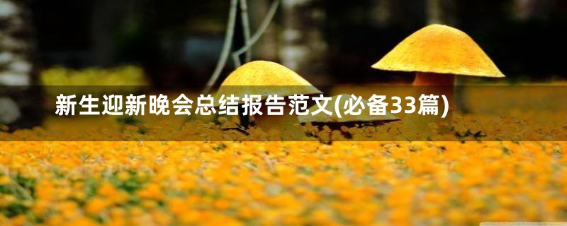 新生迎新晚会总结报告范文(必备33篇)