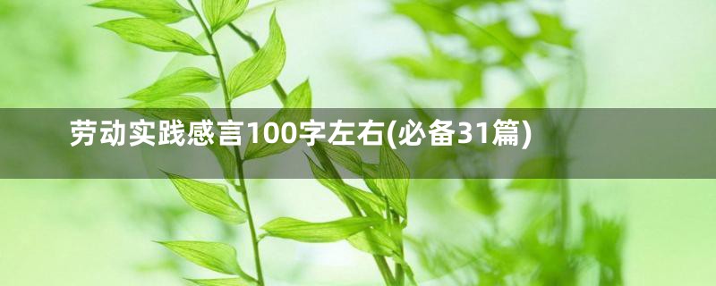 劳动实践感言100字左右(必备31篇)