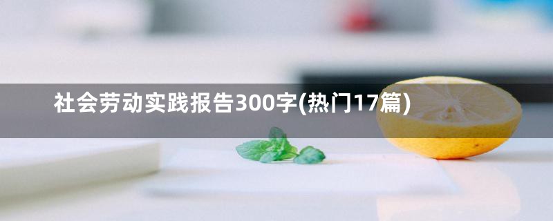 社会劳动实践报告300字(热门17篇)