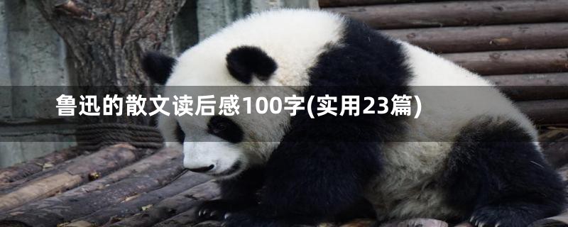 鲁迅的散文读后感100字(实用23篇)