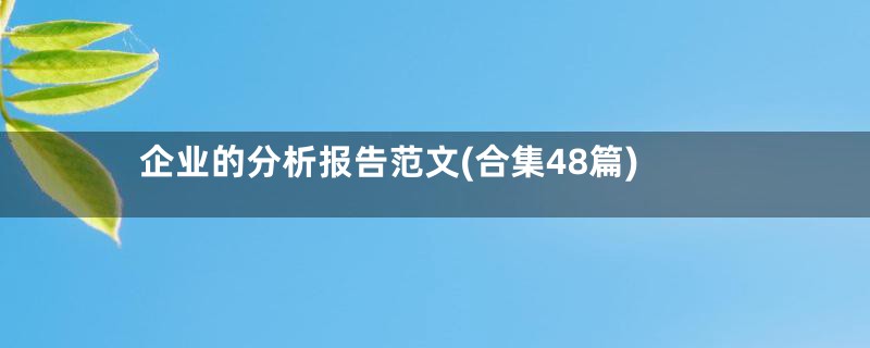 企业的分析报告范文(合集48篇)