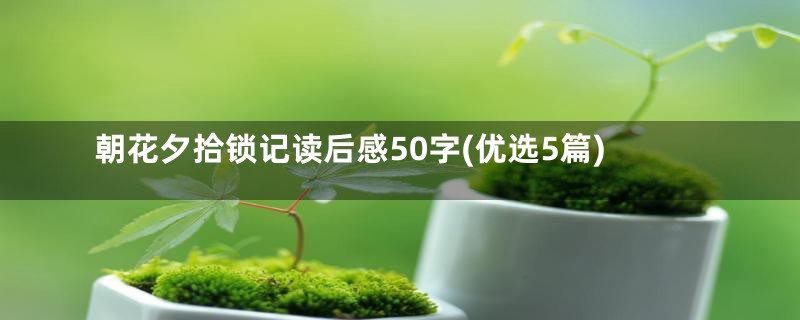 朝花夕拾锁记读后感50字(优选5篇)