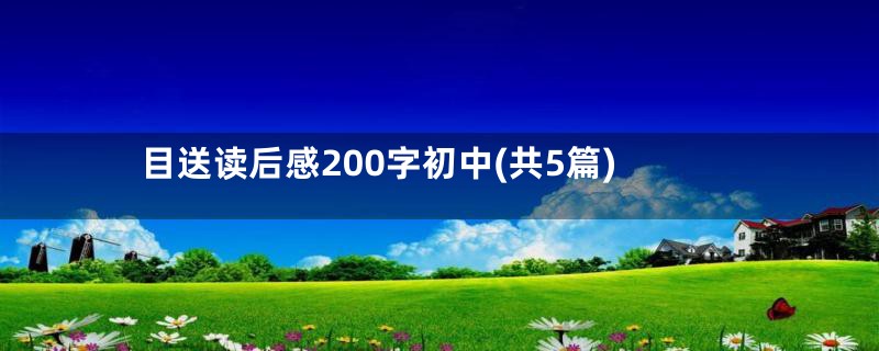 目送读后感200字初中(共5篇)